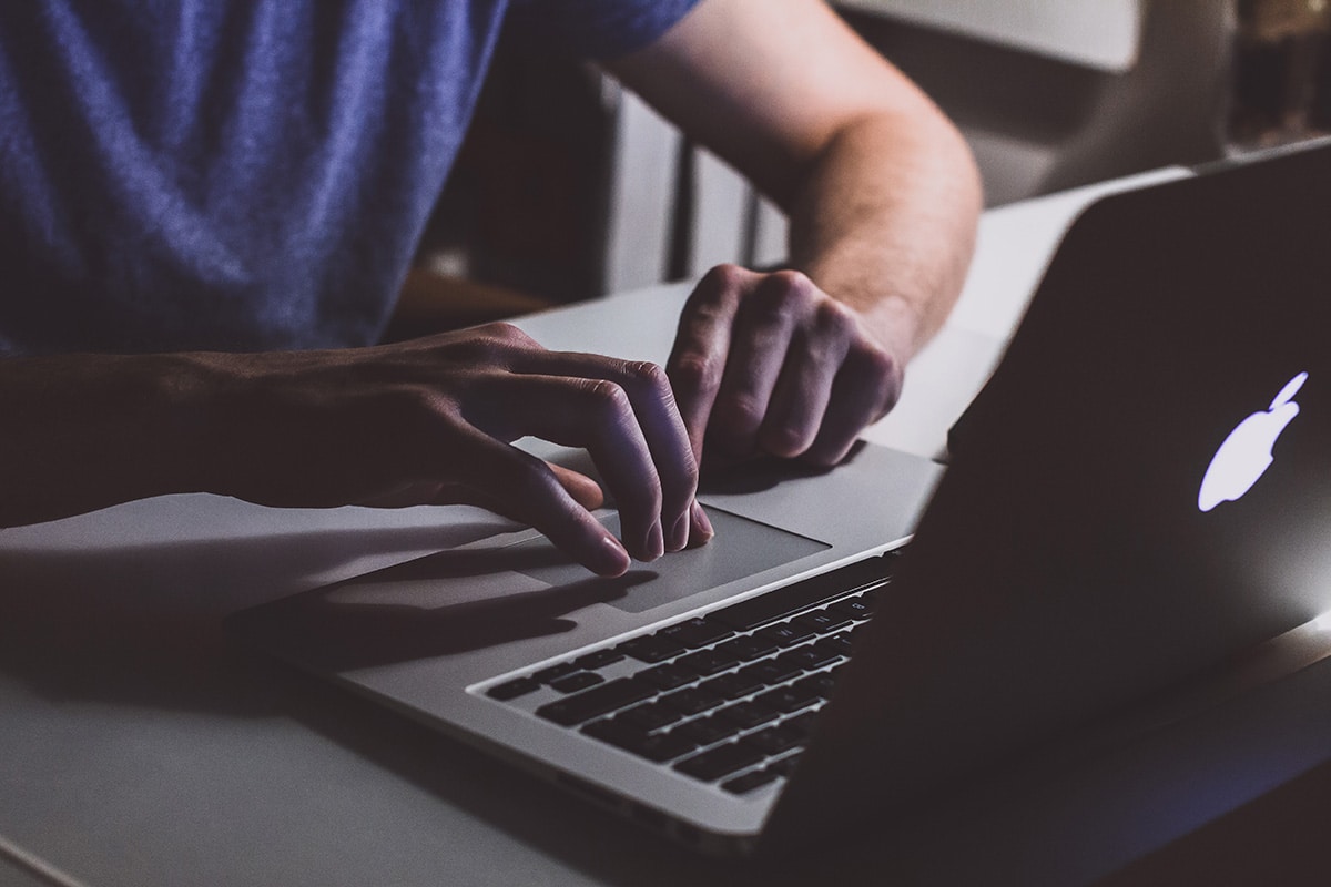 Person Viewing Laptop